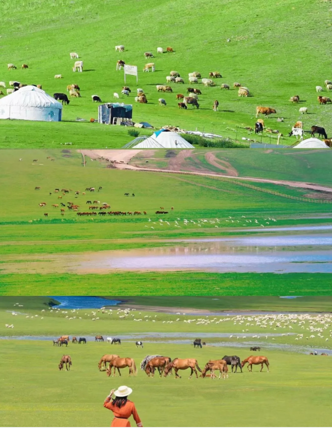 1754380635563397.png 4e90acf07acbae91178b96bf59da07d.png