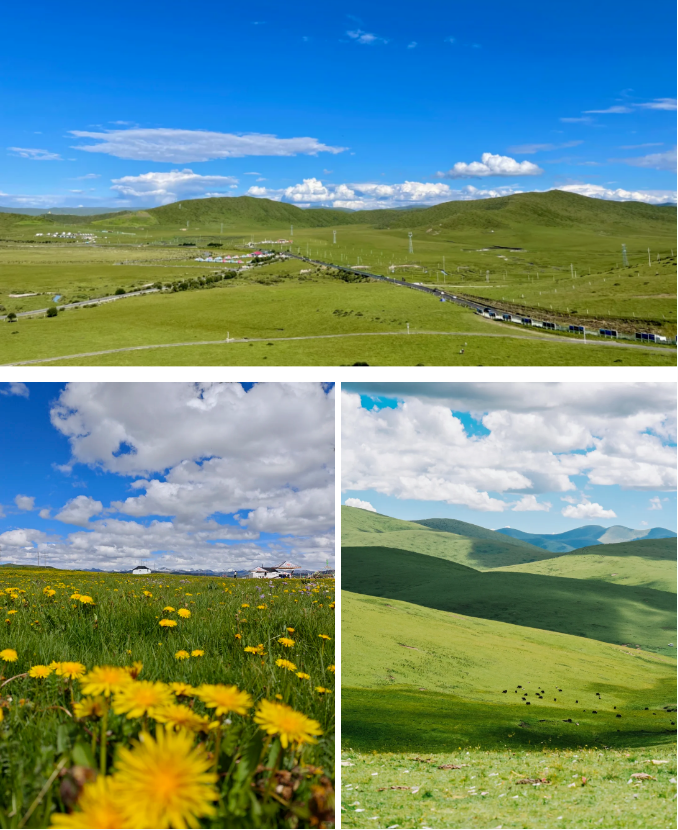 1754380667320529.png f6ad8328aa90d601efd39ab893a945d.png