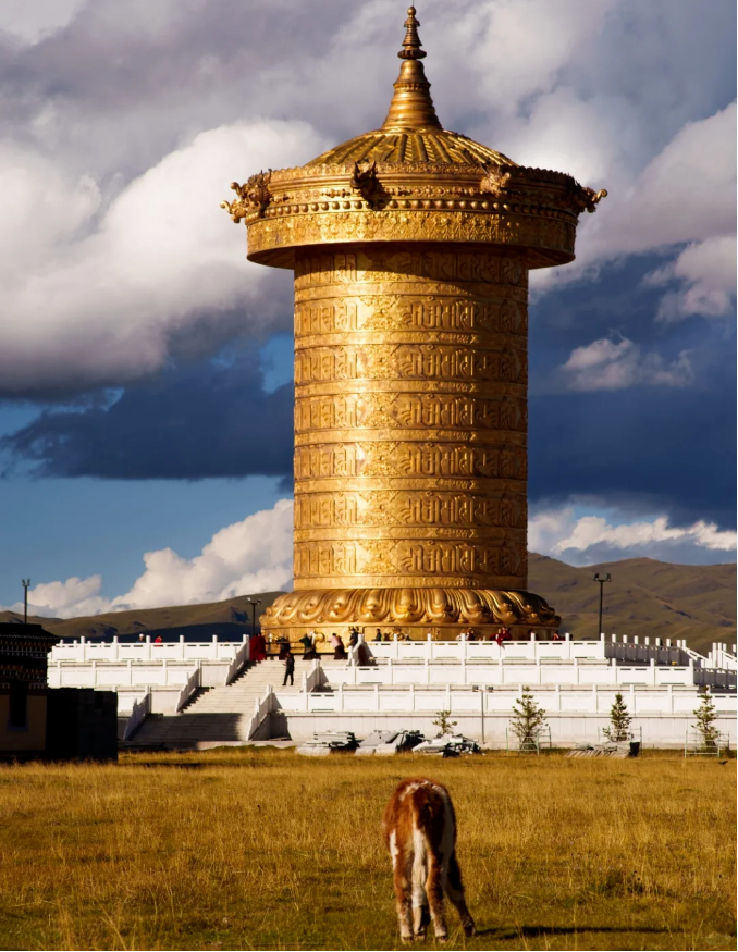 1754380871310633.png 56025639df007e898a22a348dd38505.png