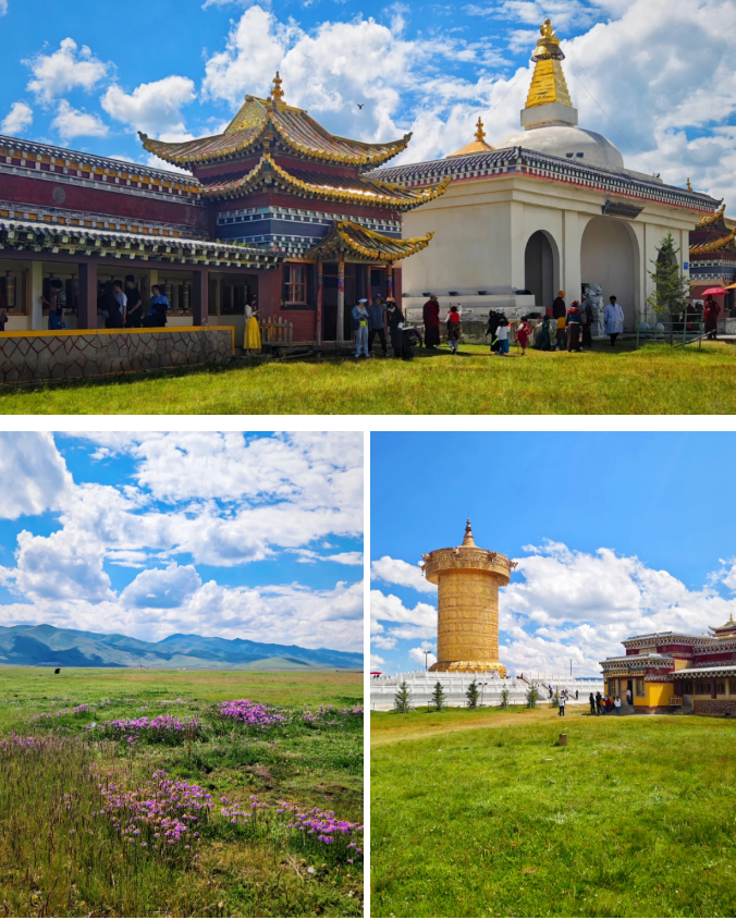 1754380893425413.png e348899204dc1feeb292a10742261a6.png