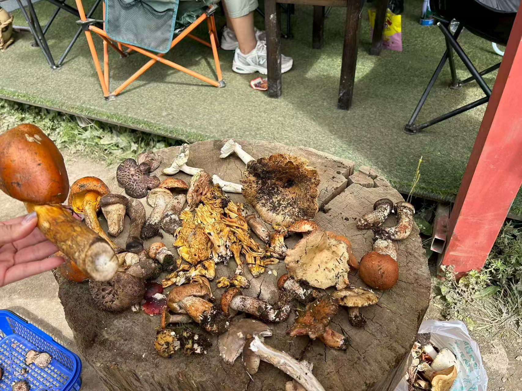 1755482771627780.jpg 微信图片_20250818100459.jpg