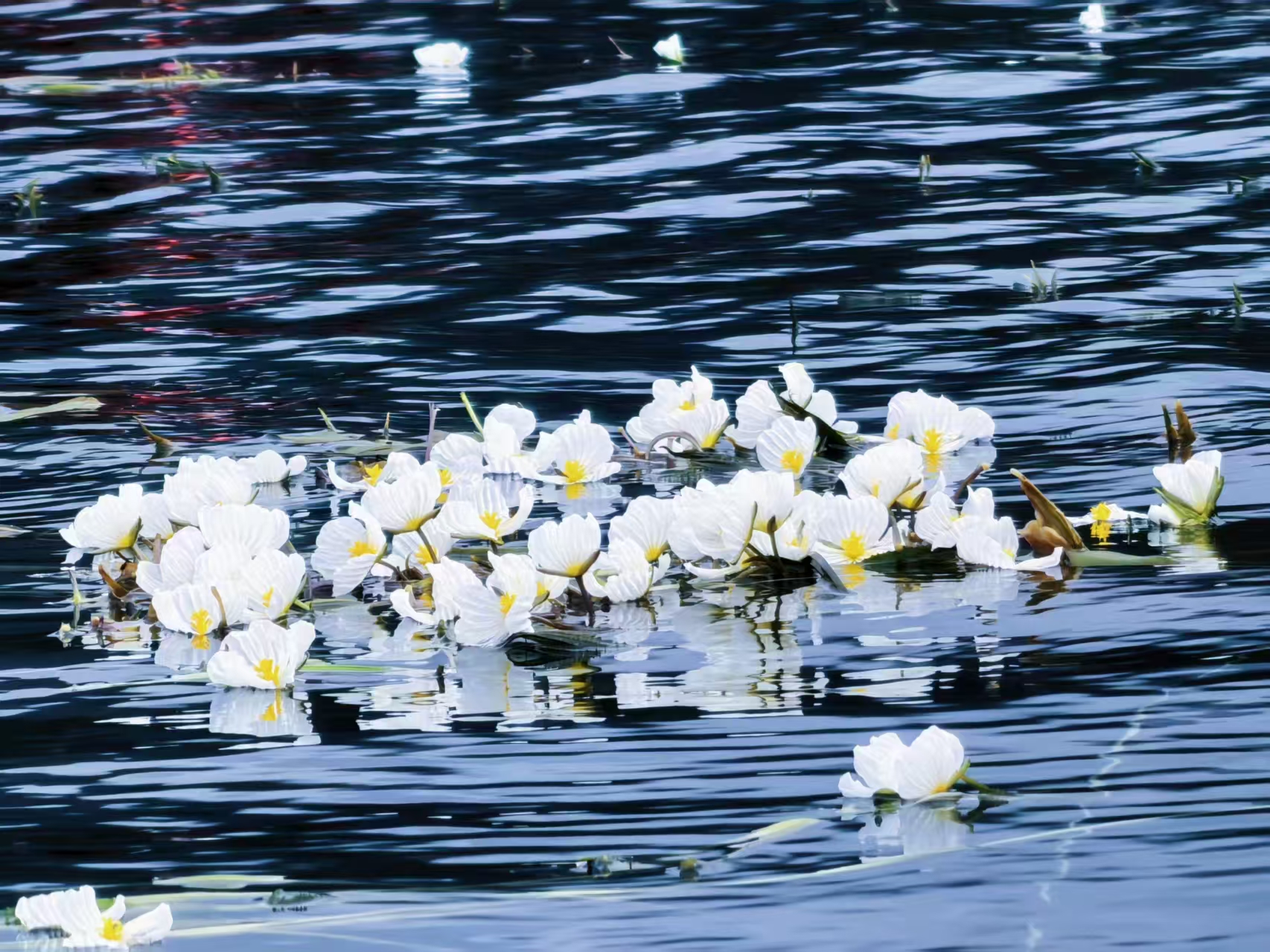 1755485988714107.jpg 微信图片_20250818100454.jpg