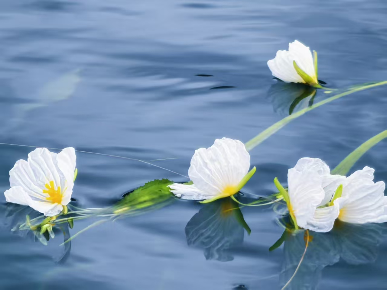 1755485991451161.jpg 微信图片_20250818100450.jpg