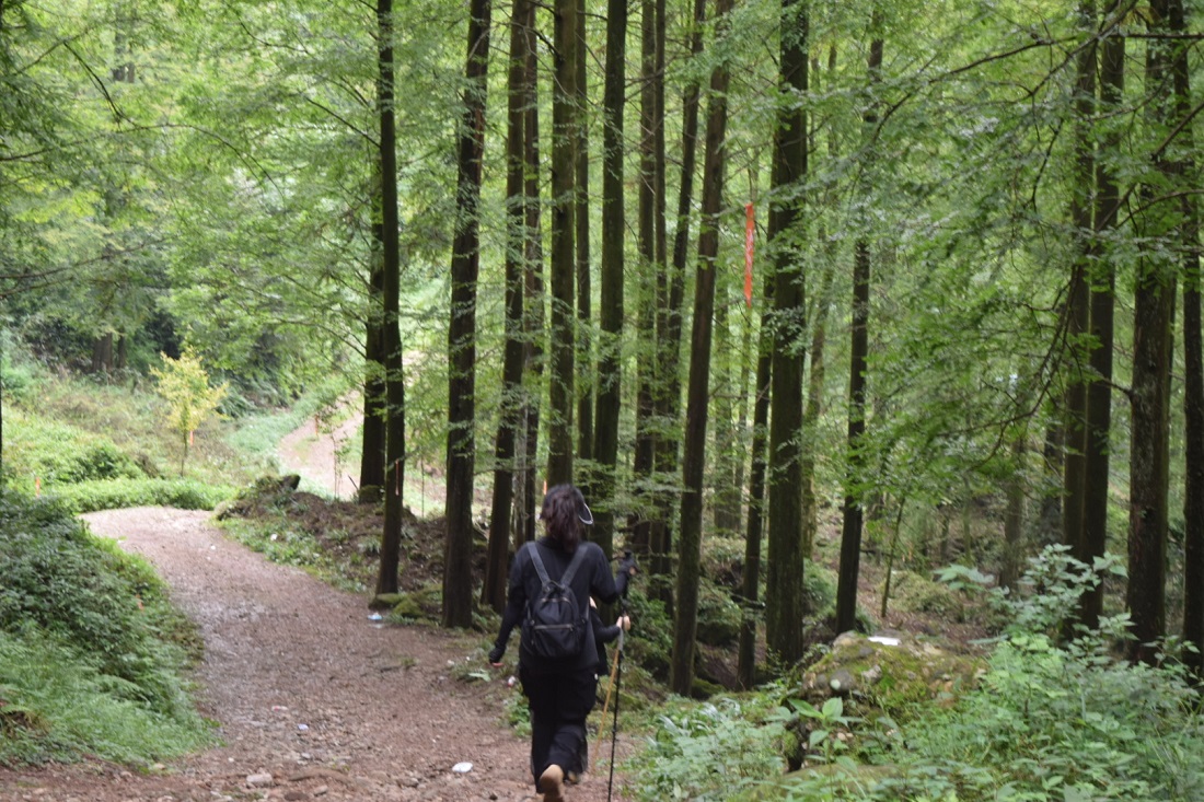 1757905108639995.jpg 微信图片_20250915102851.jpg