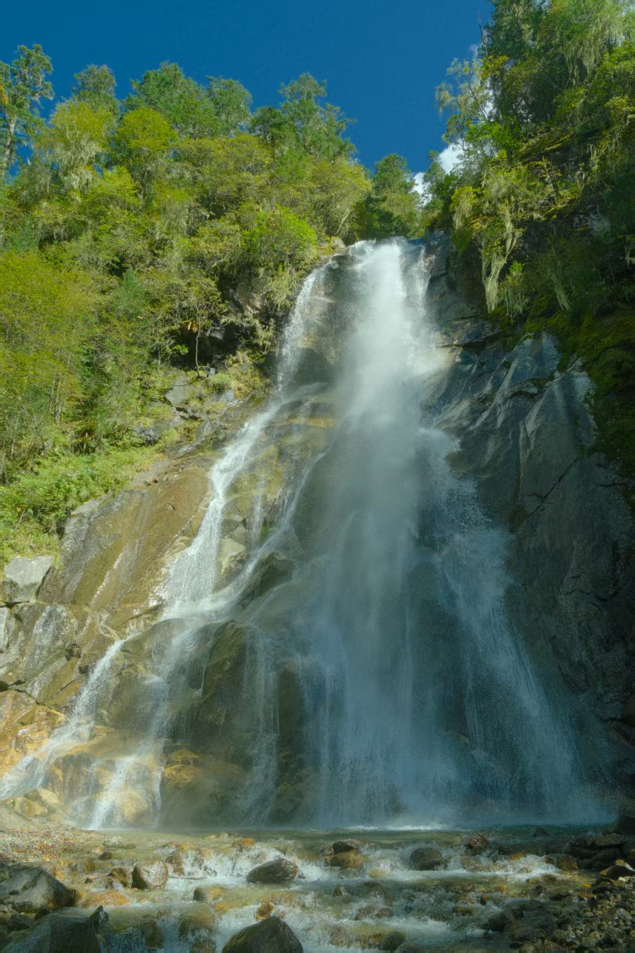 1758782826996618.jpg 2d24189b265c68afd4e242b38ffc992.jpg