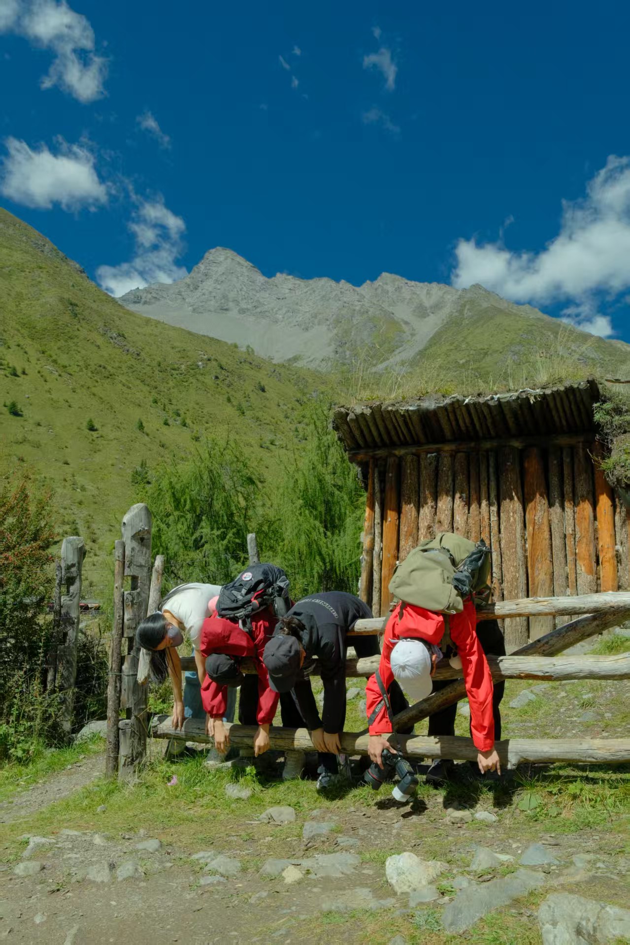 1758782834516639.jpg 94e74726de911475f30b7c8ce93b0dd.jpg