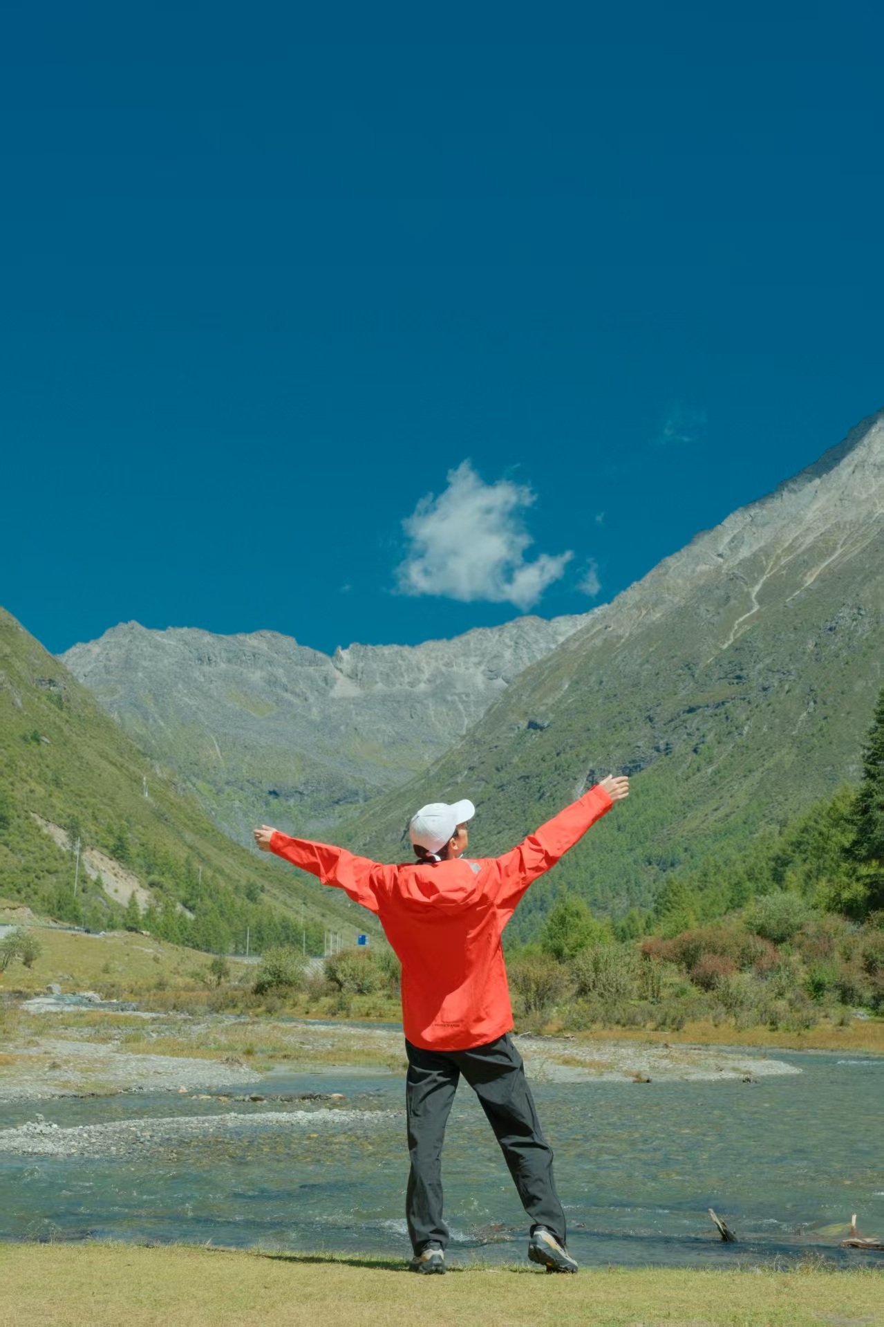 1758782846794893.jpg 88ee3d179c842342d761b4730fb9074.jpg