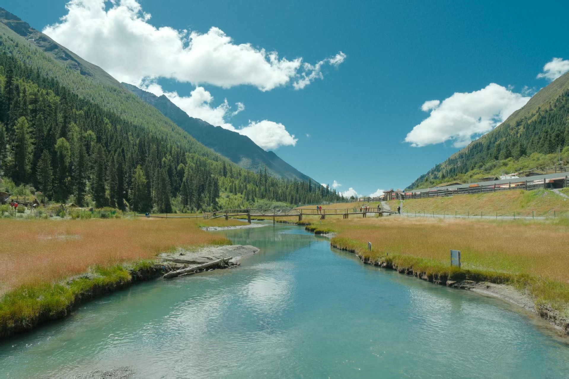 1758782906363483.jpg 10730f7184ce4ac8c2786669c5bc4e9.jpg