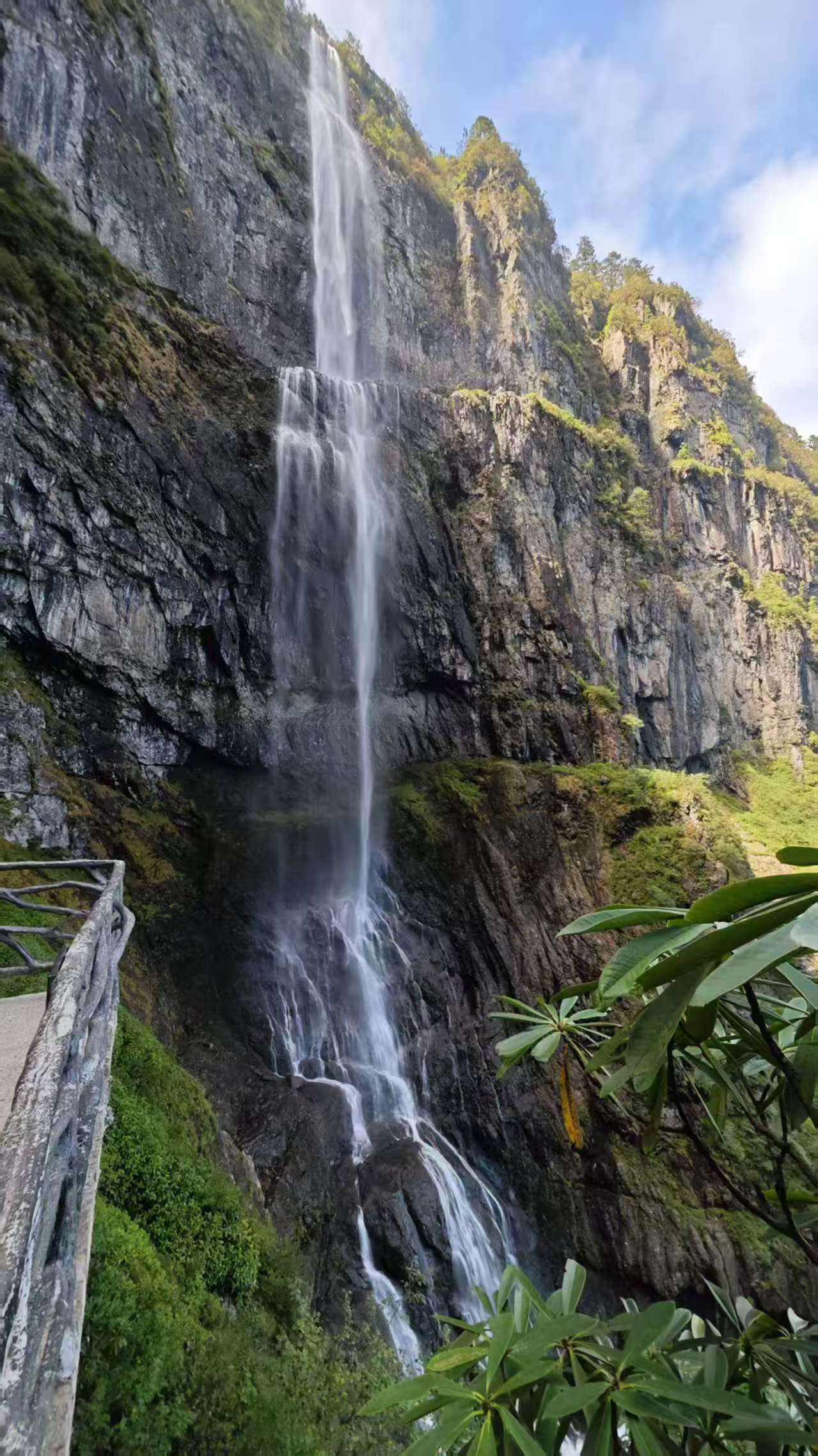 1758852470370220.jpg 5793c53ff351d5be50b1a6342c5c9bc.jpg