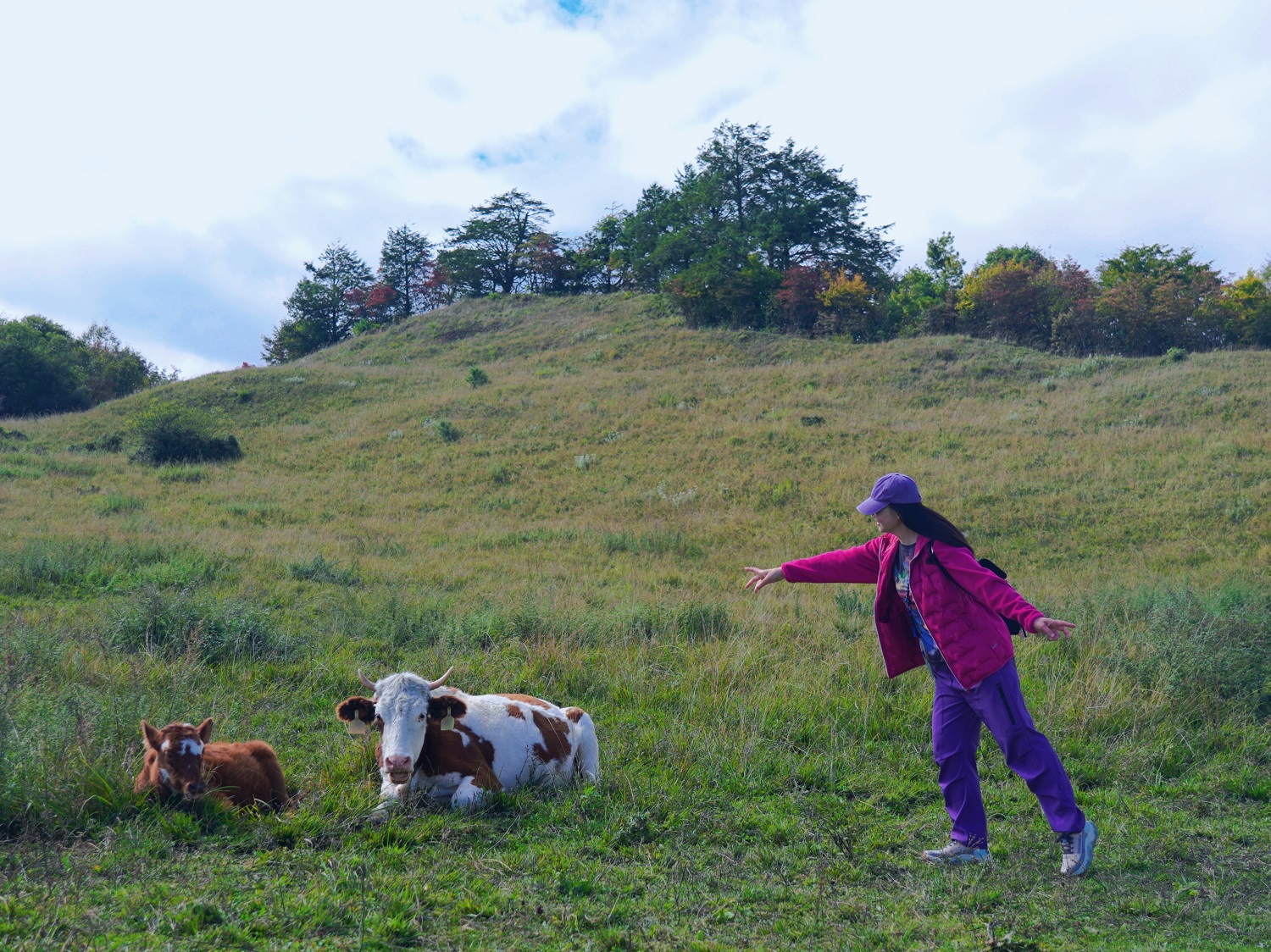 1760518440677799.jpg add1d53467dadf6ba681e2035a76e61.jpg