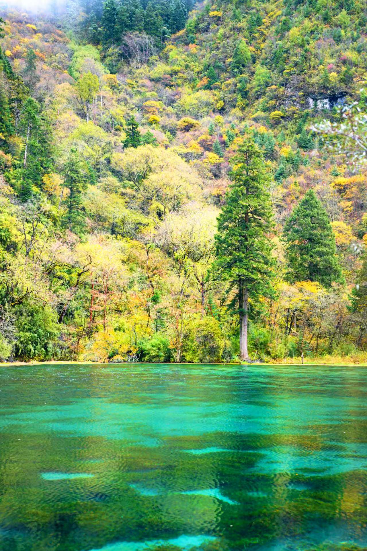 1761630117311892.jpg 4105ce91f51aa1c9c7ad96654906f0f.jpg