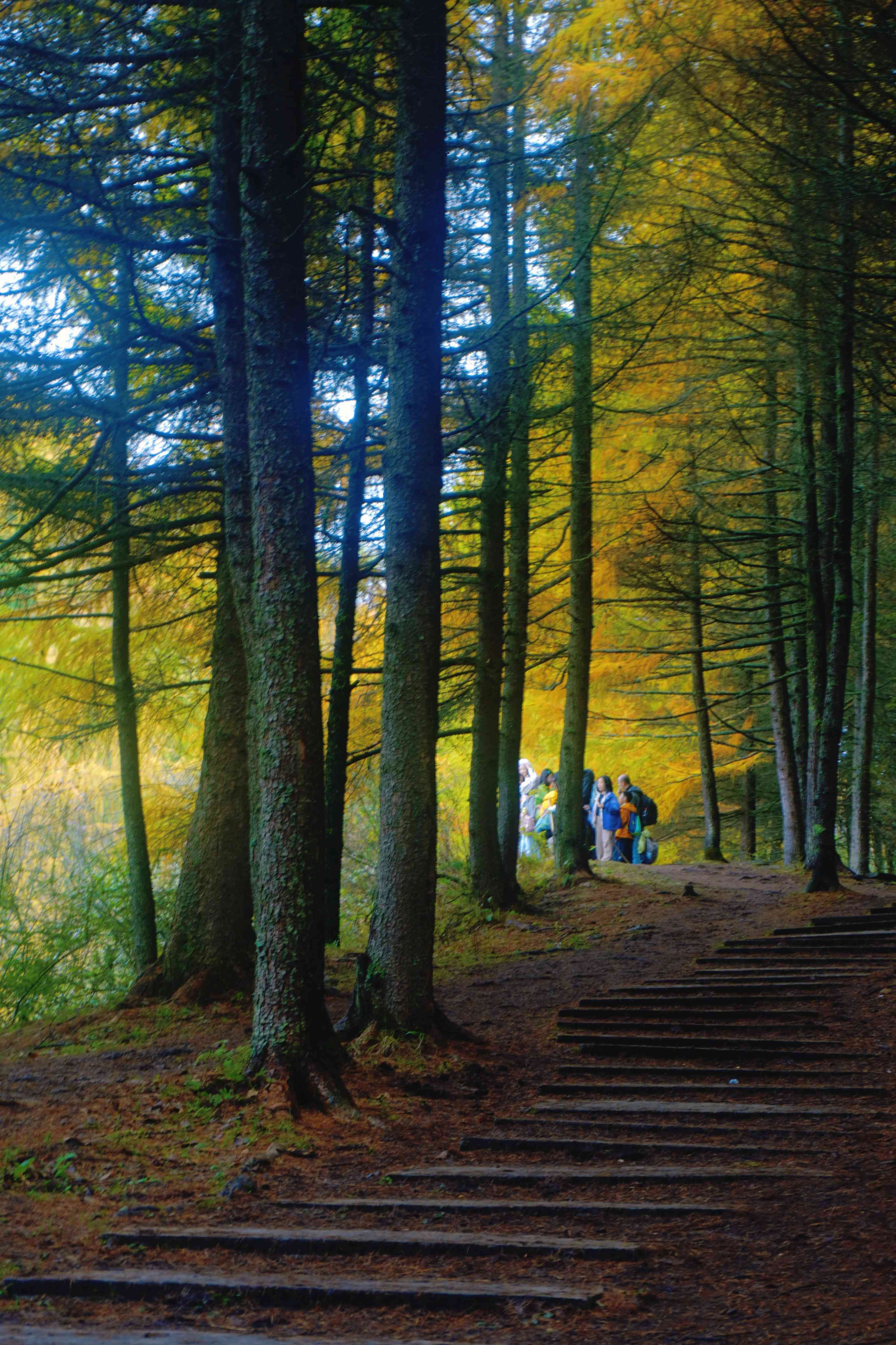 1762139002672880.jpg 微信图片_20251103110011.jpg