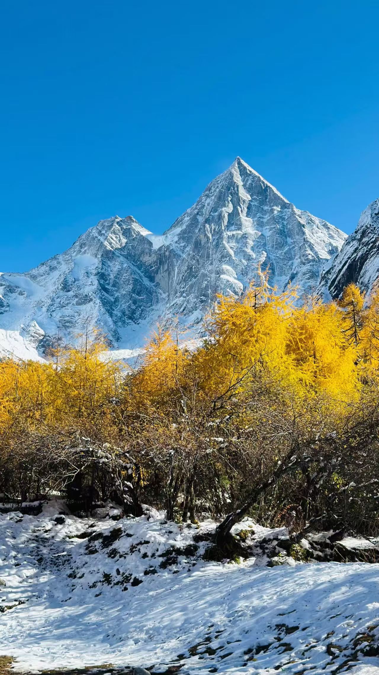 1762306986204648.jpg ddbb7cdc1ebdba13c9d79e3c0472e86.jpg