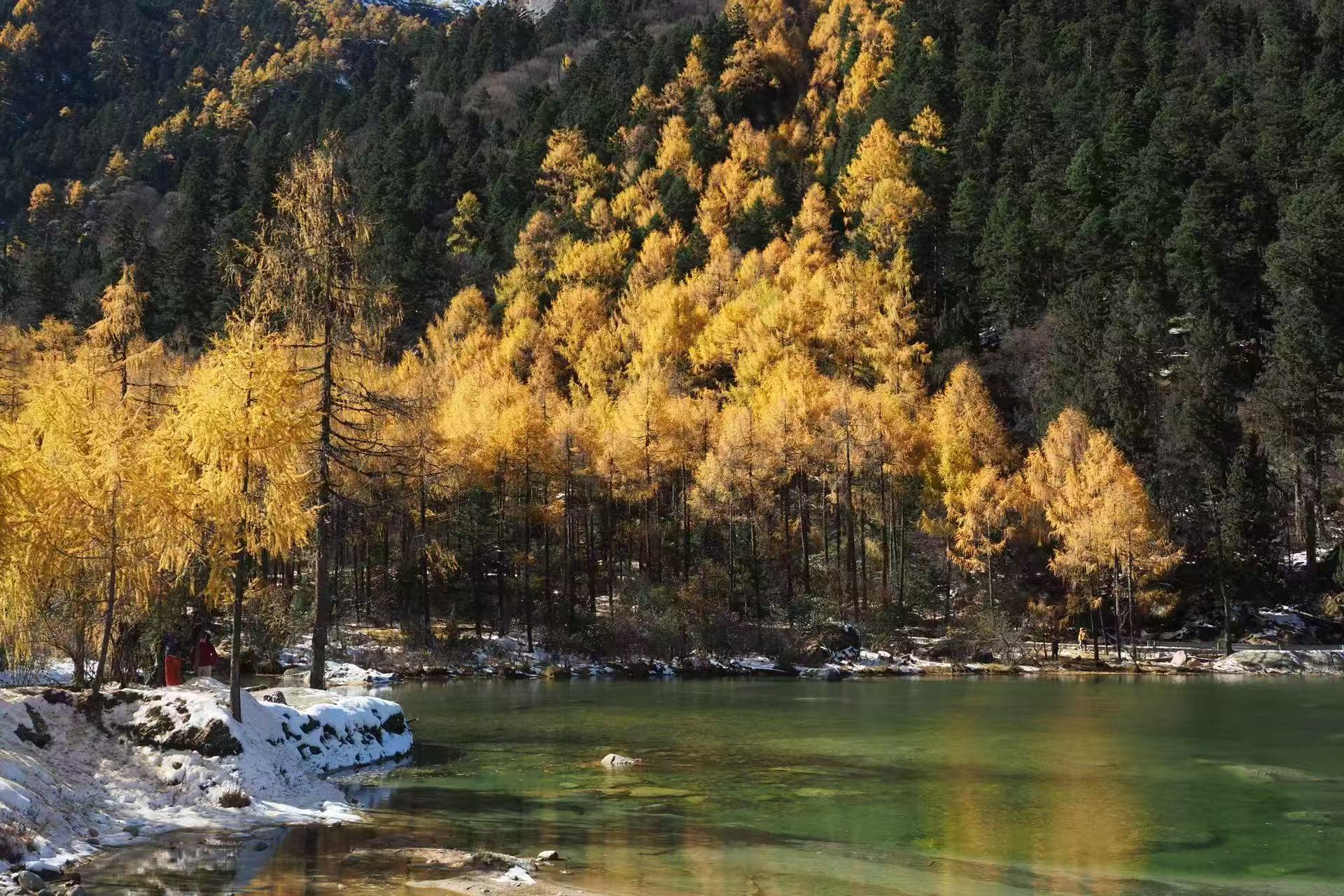 1762395216230978.jpg 微信图片_20251106100914.jpg