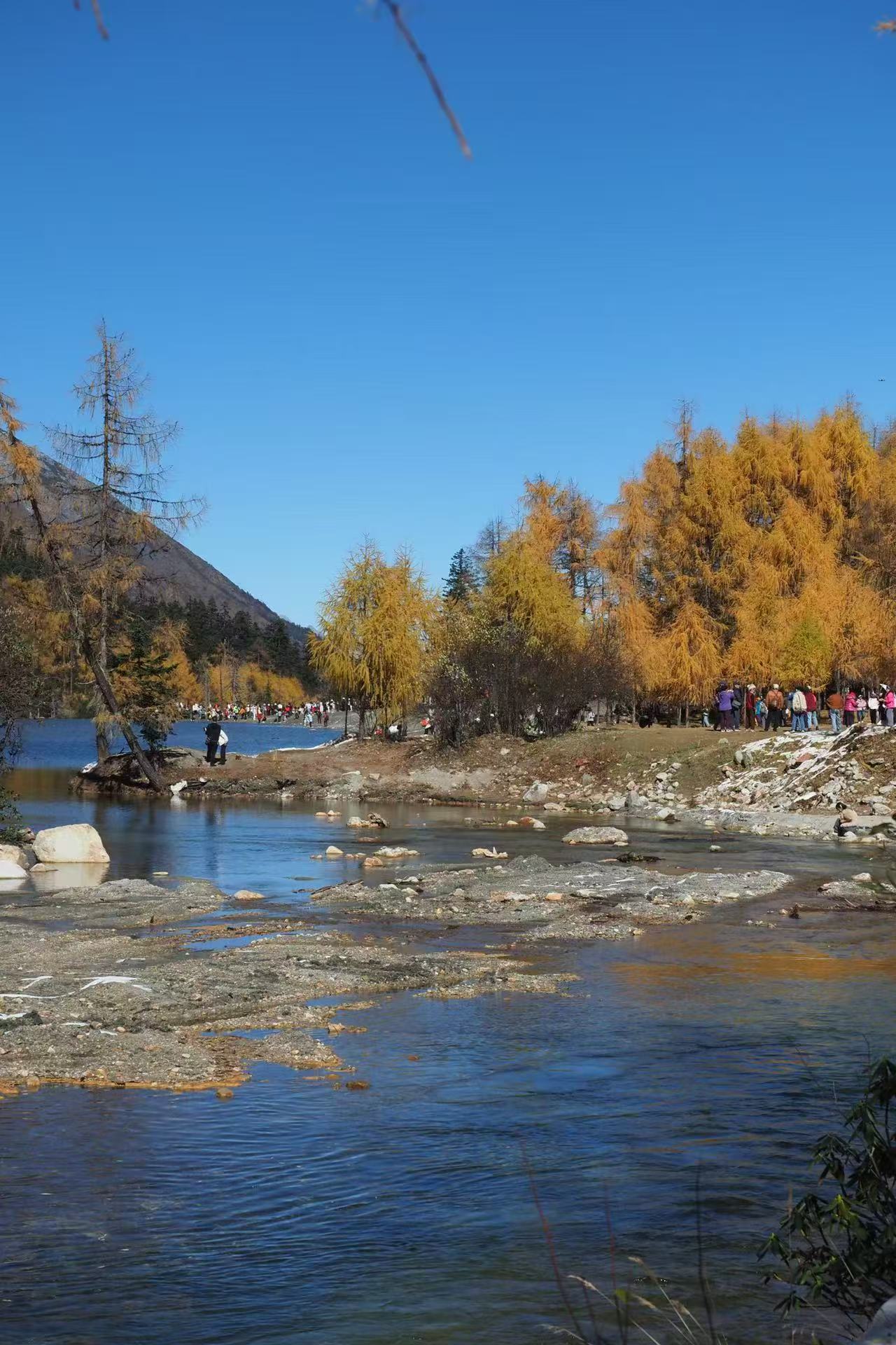 1762395222468896.jpg 微信图片_20251106100912.jpg