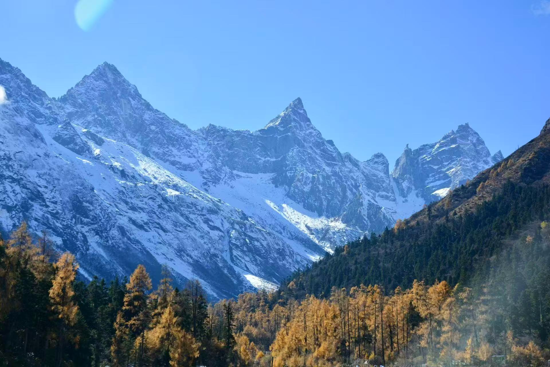 1762657958112442.jpg 微信图片_20251109111200.jpg