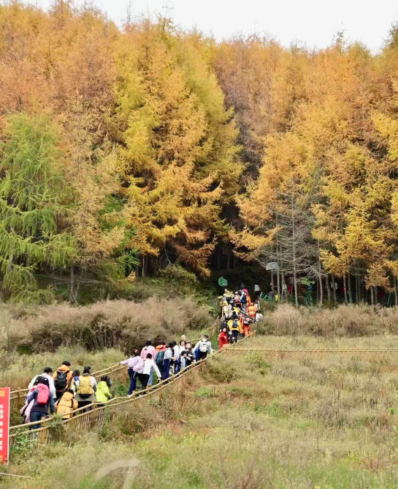 1762658467282759.jpg 微信图片_20251109112035.jpg