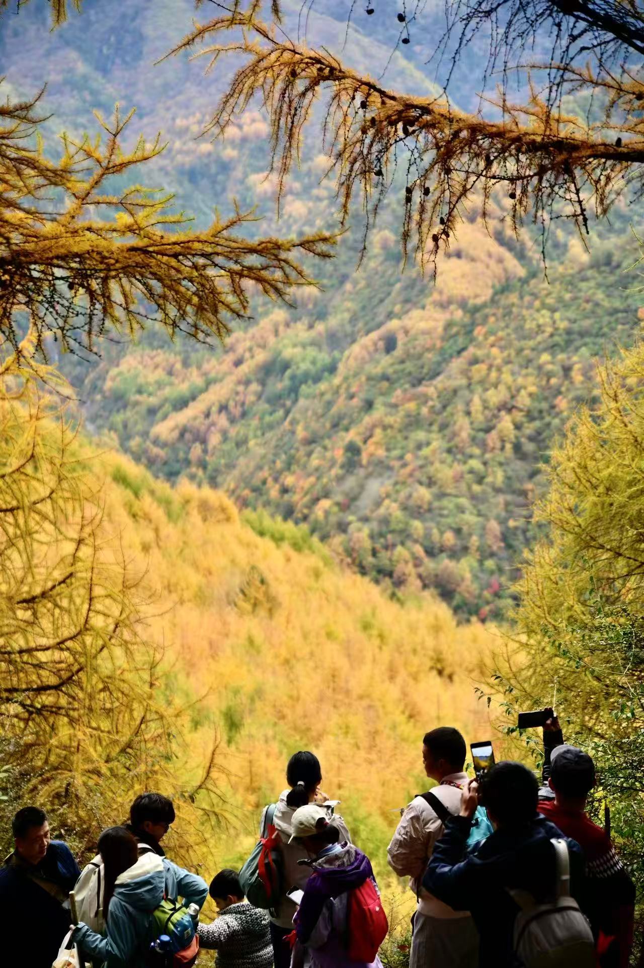 1762658470660245.jpg 微信图片_20251109112038.jpg