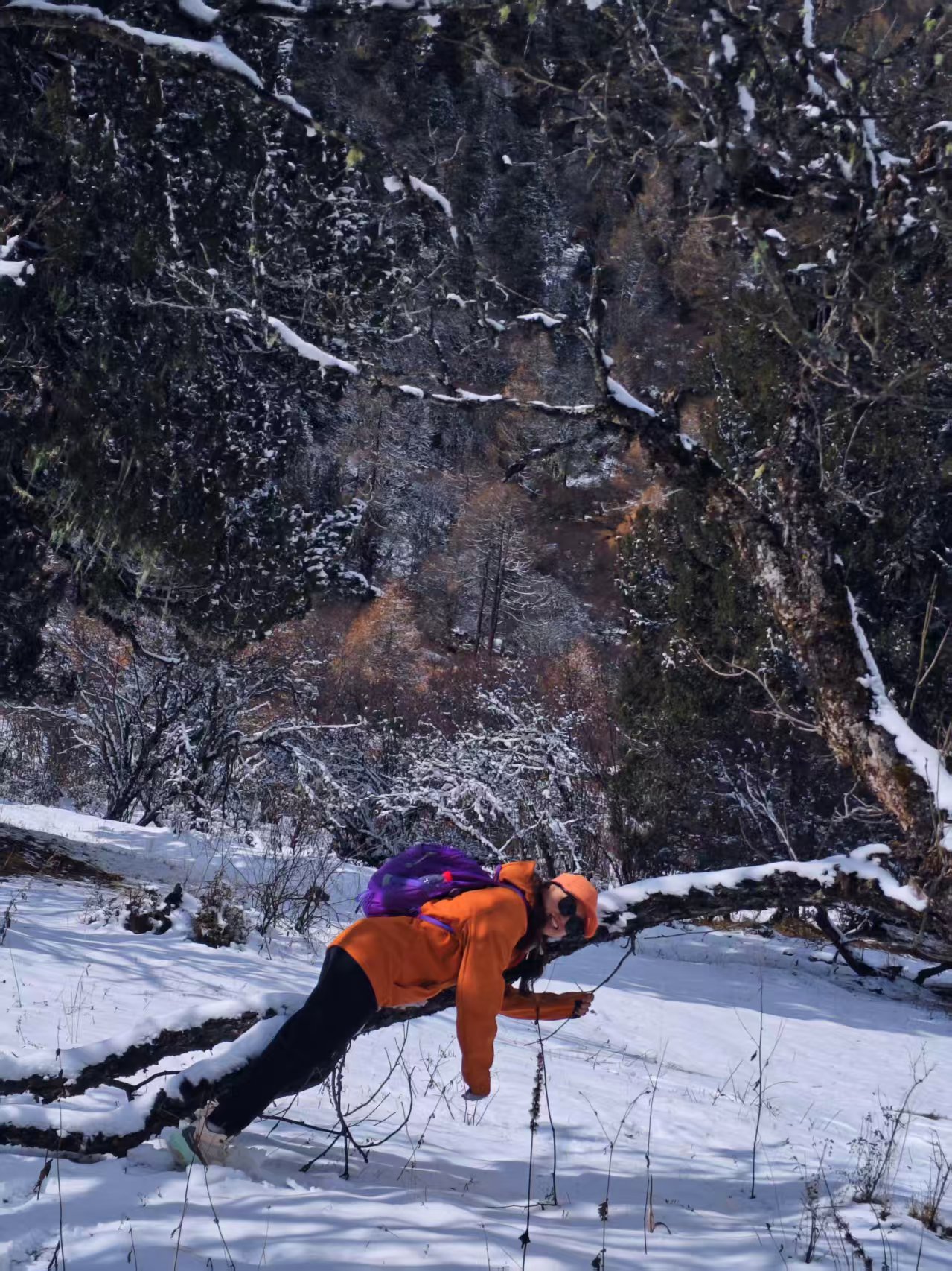 1763430429718856.jpg 33cd4f049b5238b3ed309a478ebc9b8.jpg