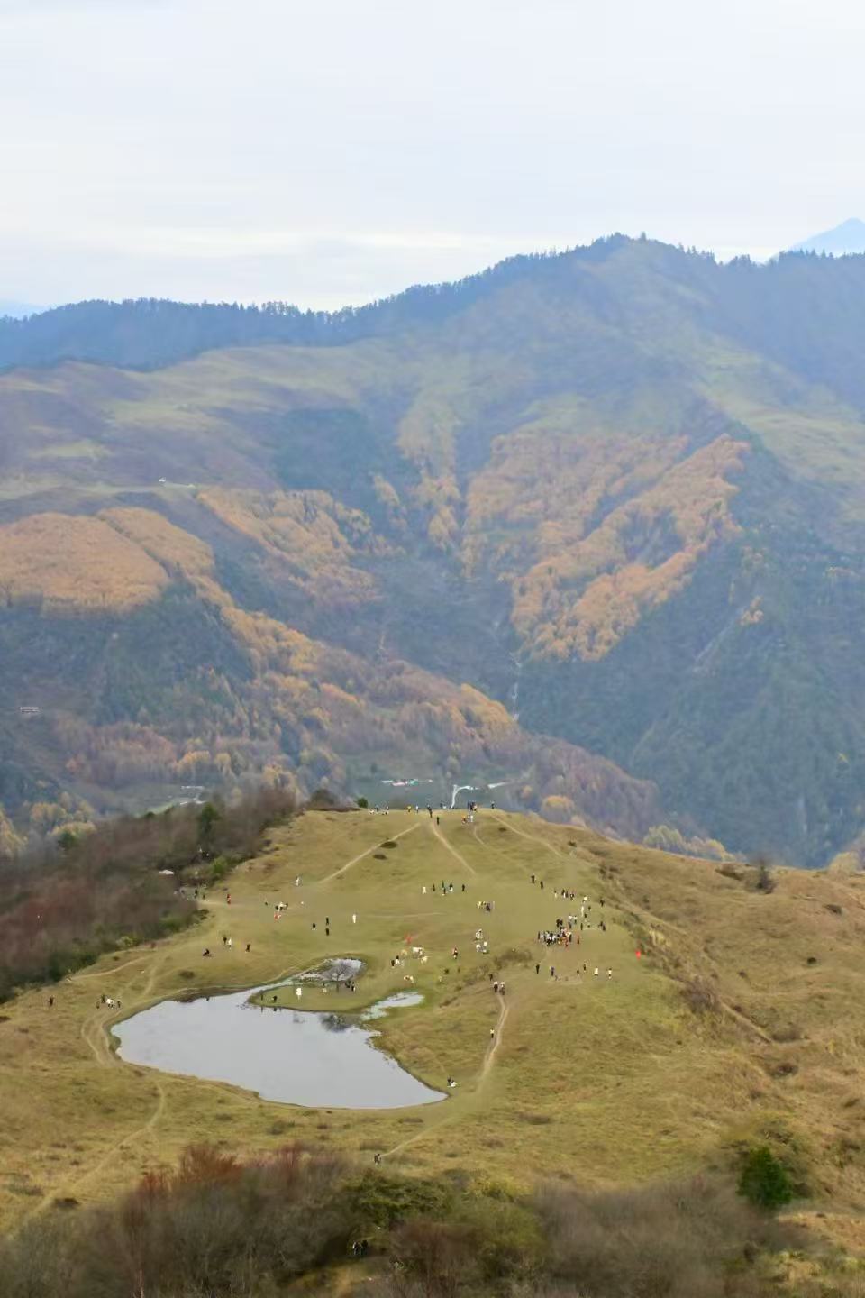 1763860279541677.jpg 微信图片_20251123090946.jpg