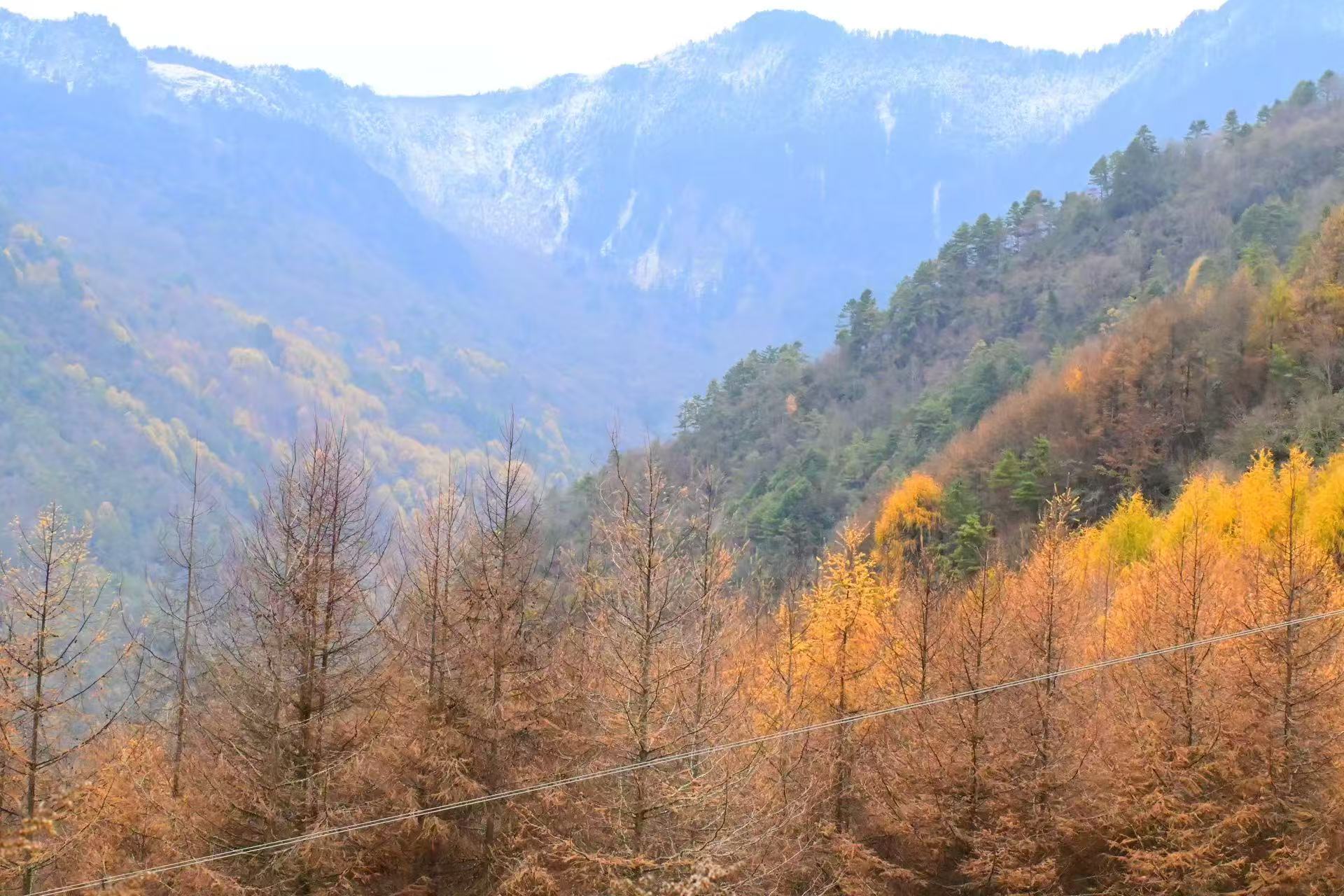 1763860283734592.jpg 微信图片_20251123090943.jpg