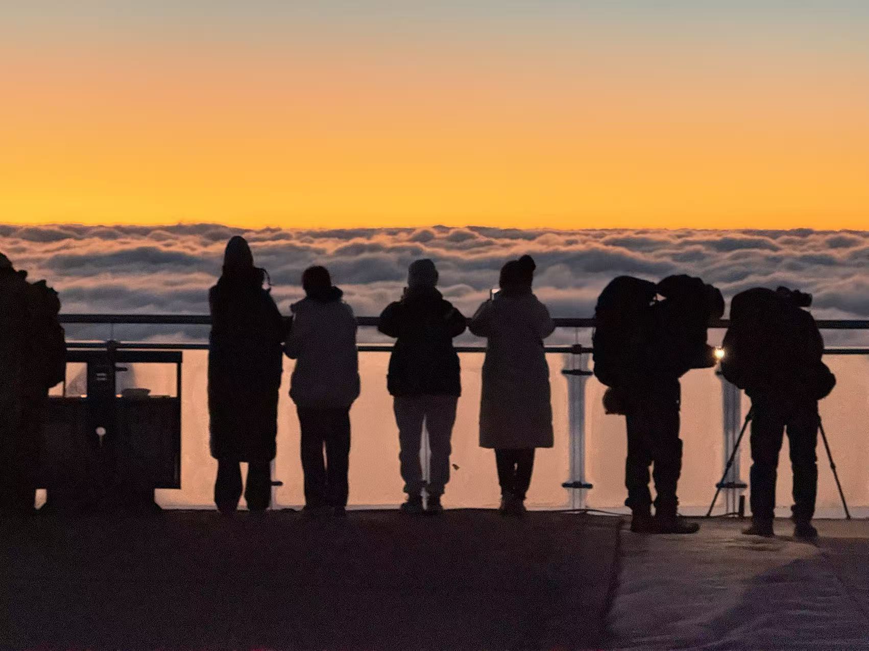 1763974178847994.jpg 微信图片_20251124164654.jpg