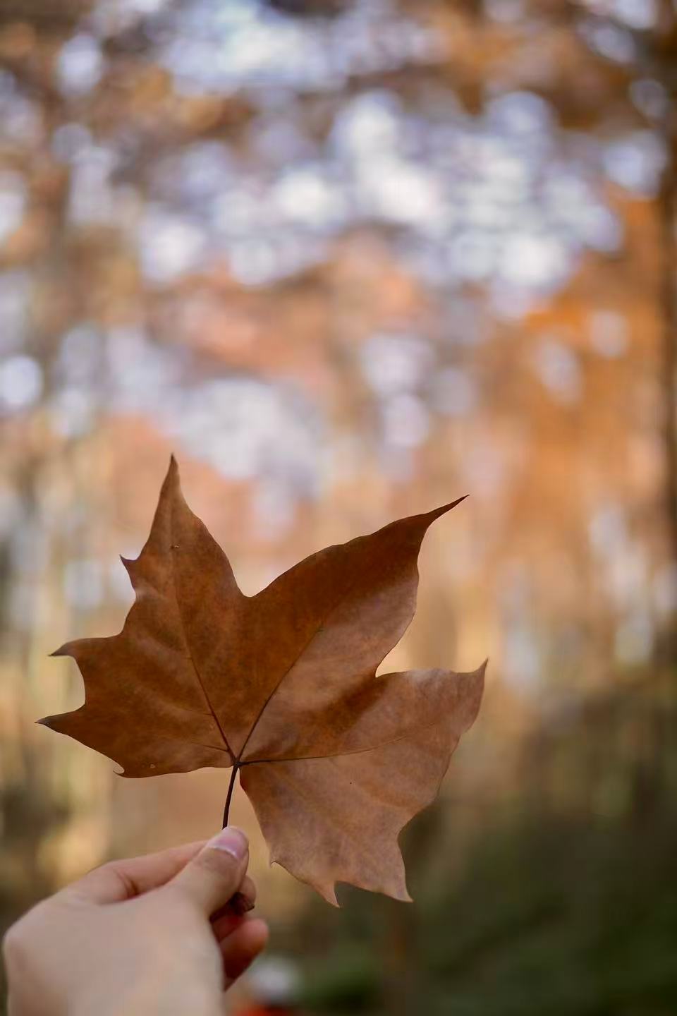 1764900232681522.jpg 微信图片_20251205100304.jpg