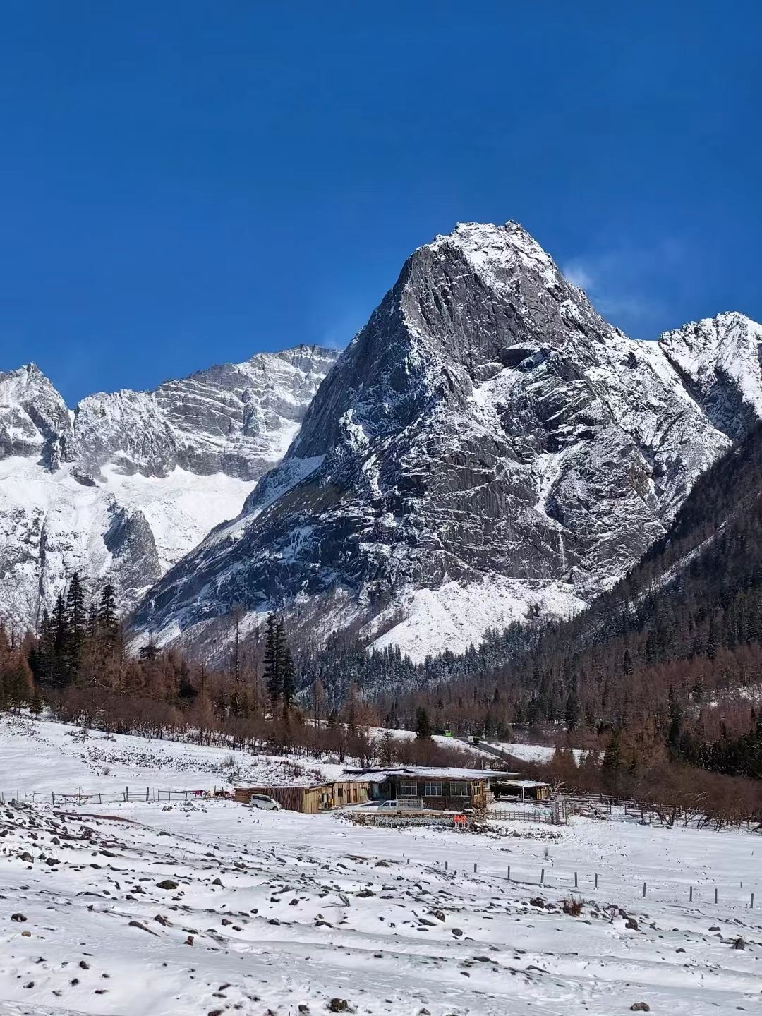 1765000382754058.jpg d35df5b1fb8b106723d553c9e4b4c65.jpg