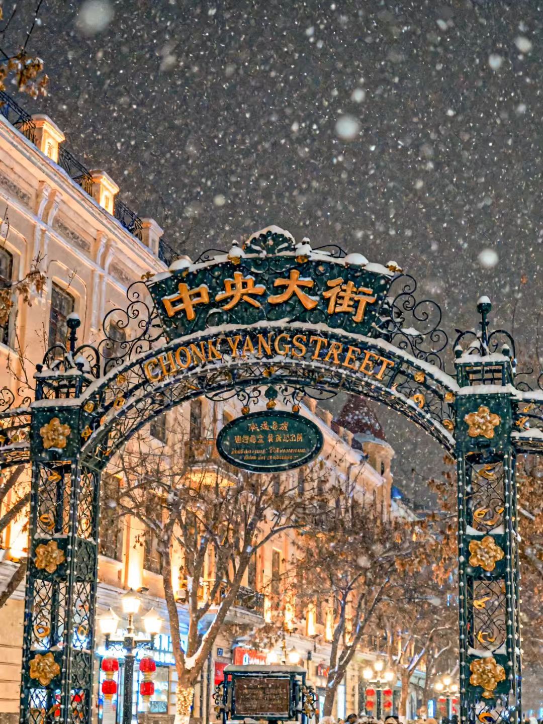 1765266516703892.jpg 1762830232758991.jpg