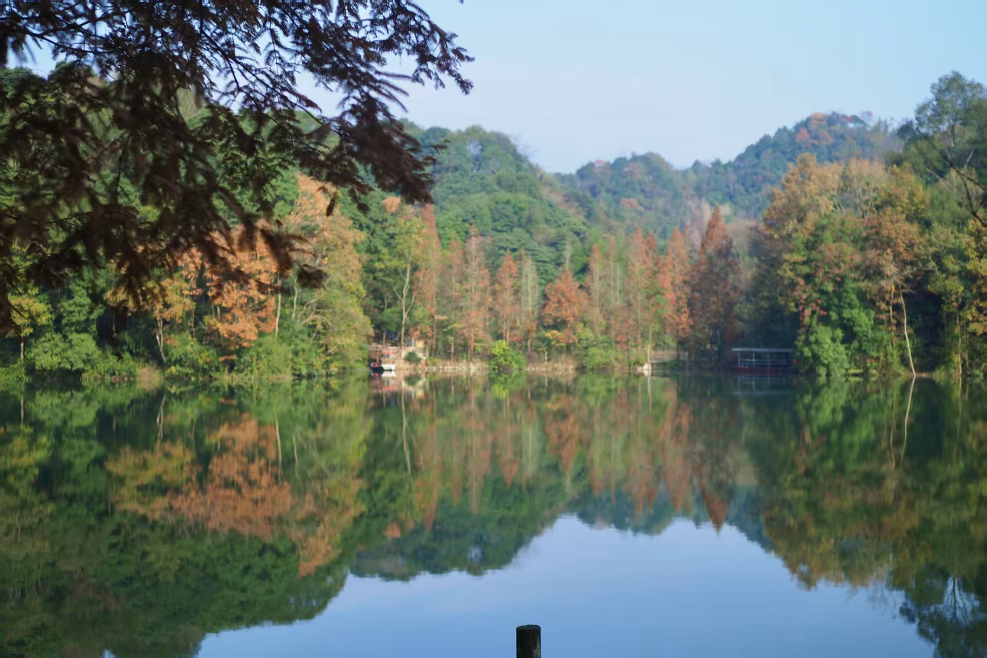 1765525654795587.jpg c729183b8152ba82795b5a4429d9d7c.jpg