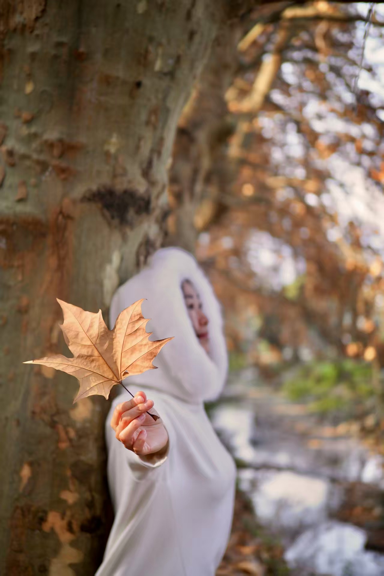 1765525874871547.jpg 5413afda130d0e8f1468bac68cb30b2.jpg