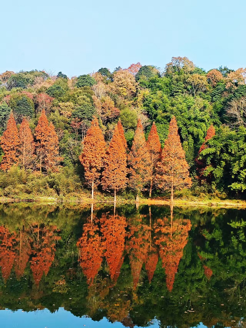 1765525989182616.jpg f0d480e5d76026d9091f687dd86ea72.jpg