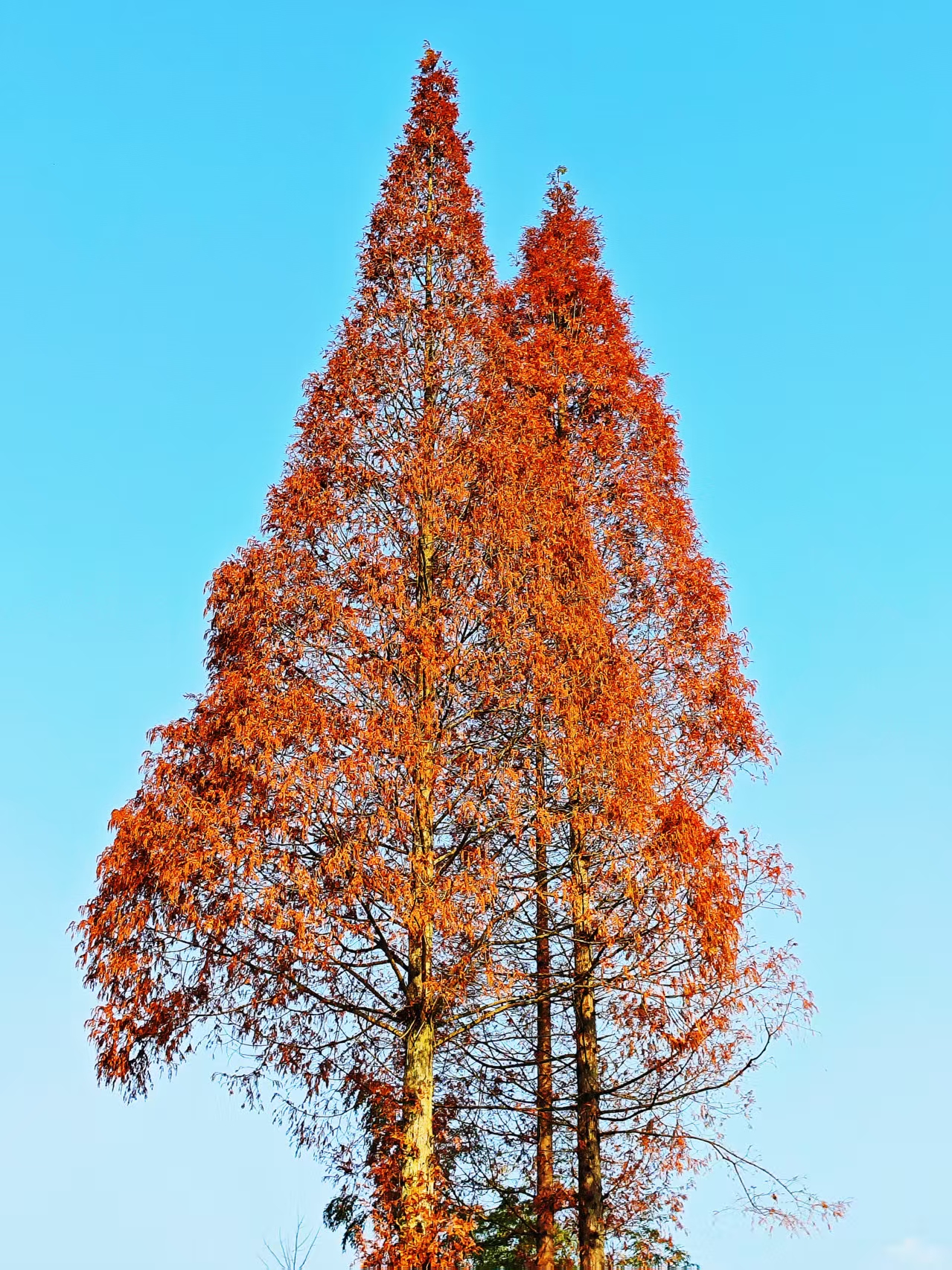 1765526303354993.jpg 93d4db6665944d7d92386c06d6213d4.jpg