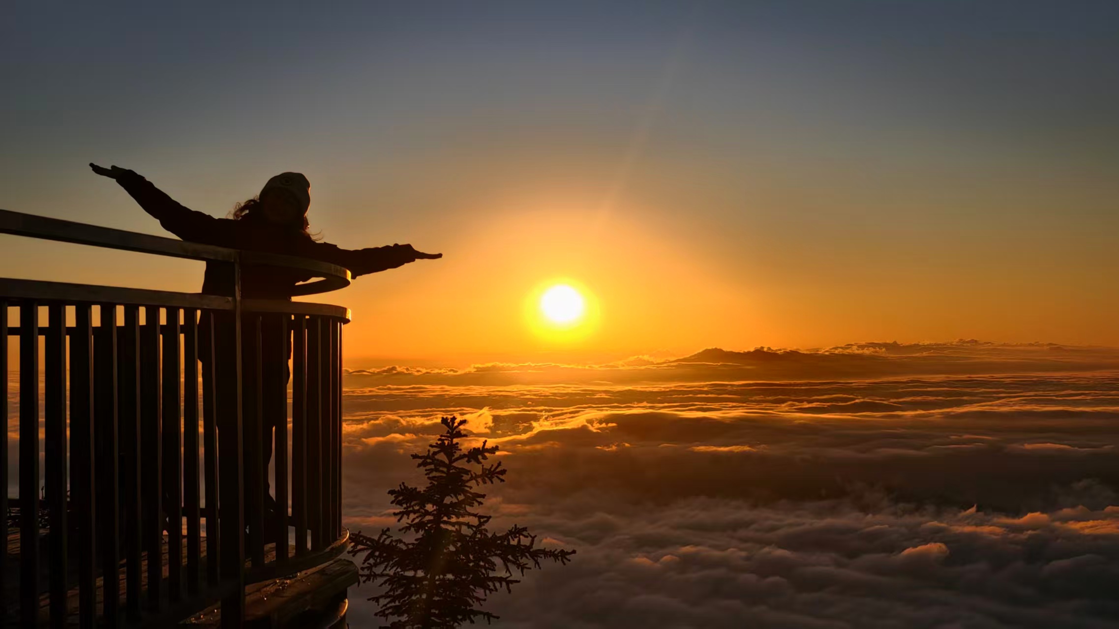 1765770558625130.jpg 6656c20c875b6ff76e4633dc8702c89.jpg