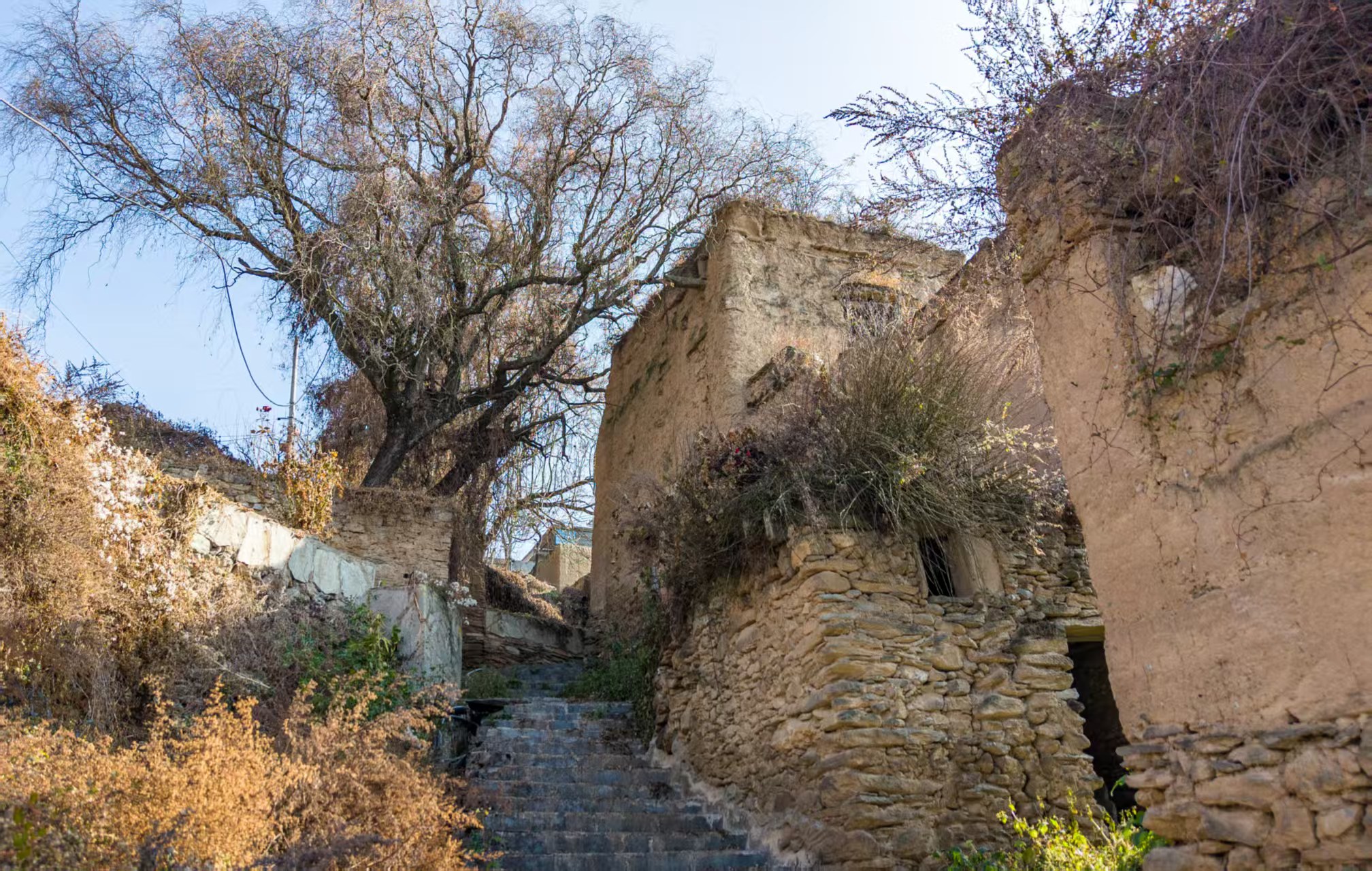 1766368530122087.jpg a2b1f1b0f176ccbbae2b132bc6b6daa.jpg