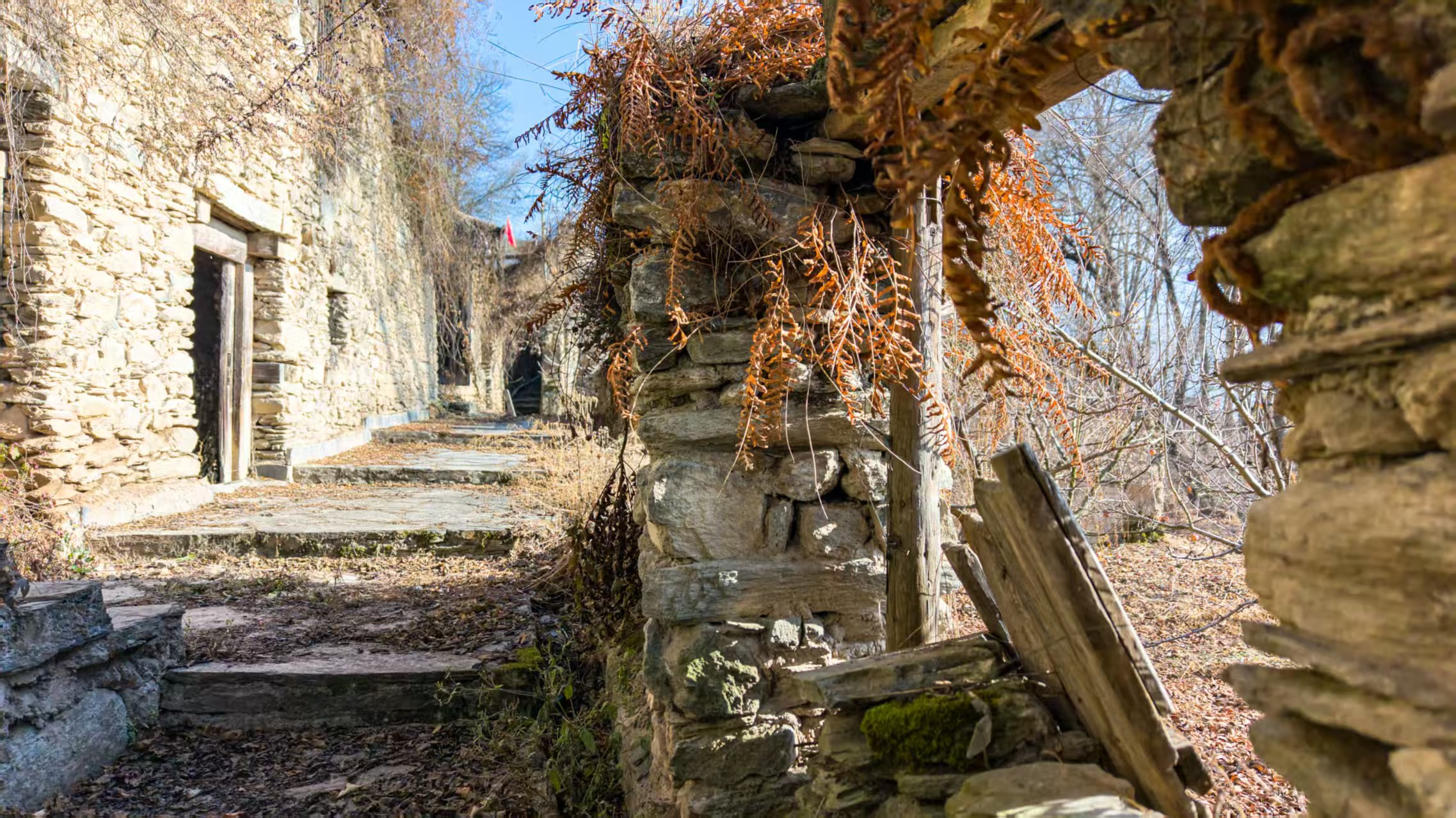 1766368541654800.jpg 767aa8f69fa781e6ec94f9d65714357.jpg