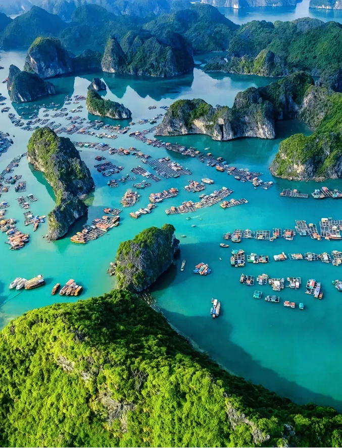 1767149448438727.png 425a8779e7b5dd729a7bb3c5e1671d3.png