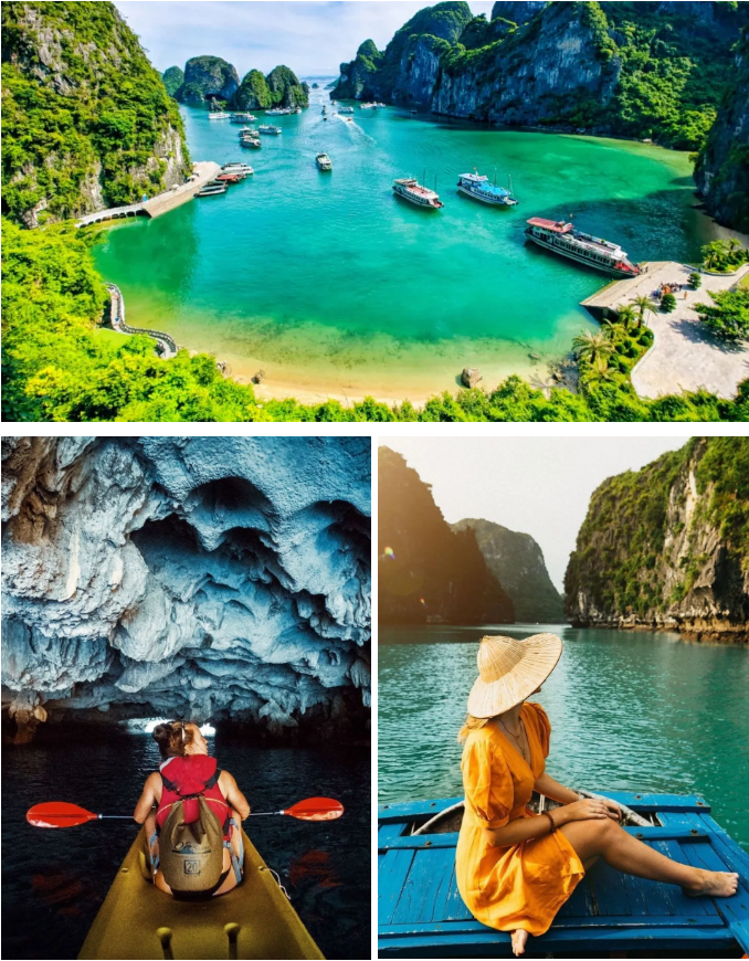 1767149514648161.png 0b3373a85800c9699f8f6b896e96c12.png