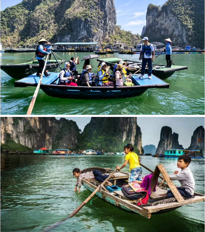 1767149536242925.png 1a9143b9ed9c4f77240434cae4182eb.png