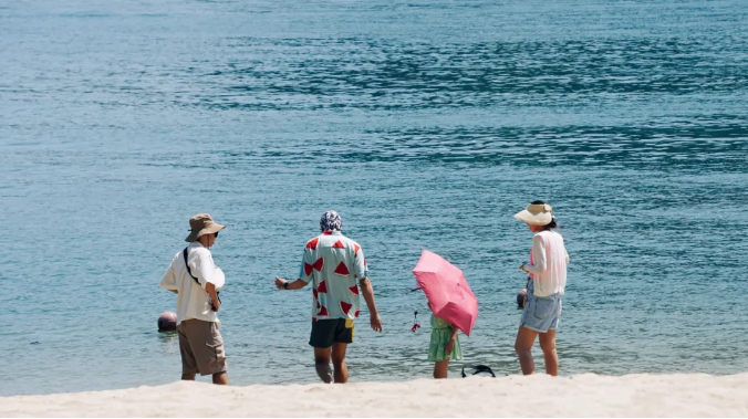 1767149550697095.png d5235246b41e72a3582e3b3ec557b93.png