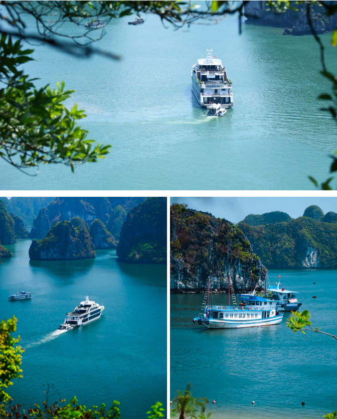 1767149559359885.png a2373c7b87c77ddce5b1717b6933af6.png