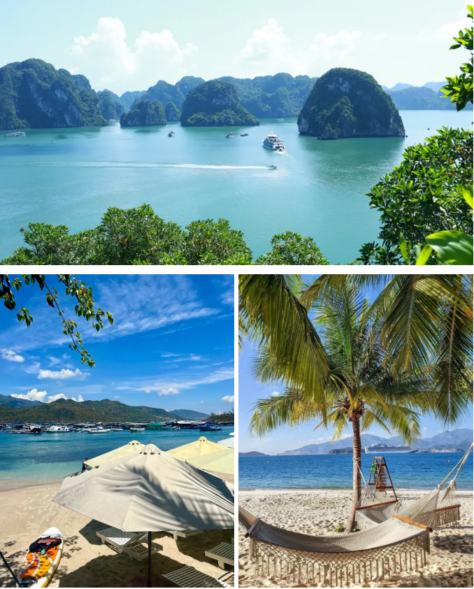 1767149578688760.png cd4fe01414d9bedfe29396cd044b95f.png