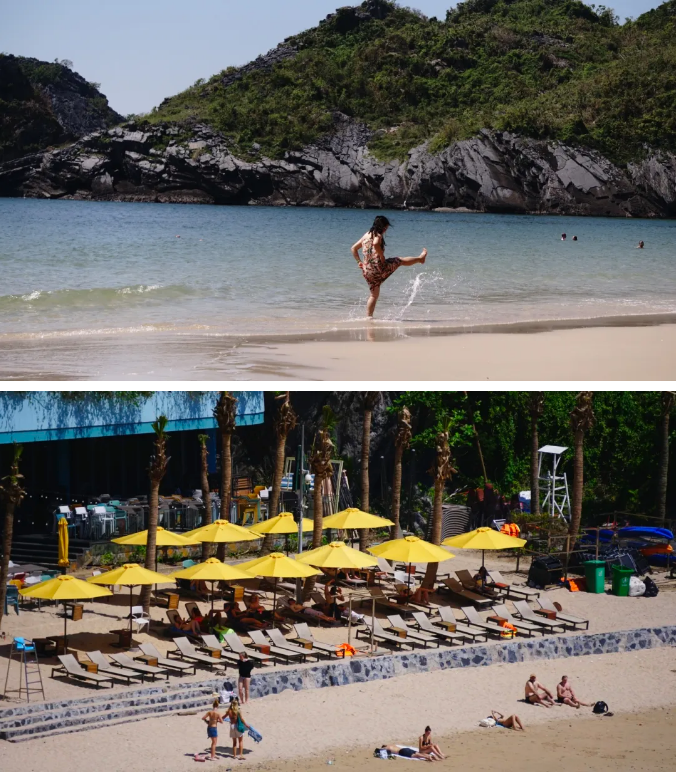 1767149636806520.png e59a623e75f75692d0748ae4f51ee45.png