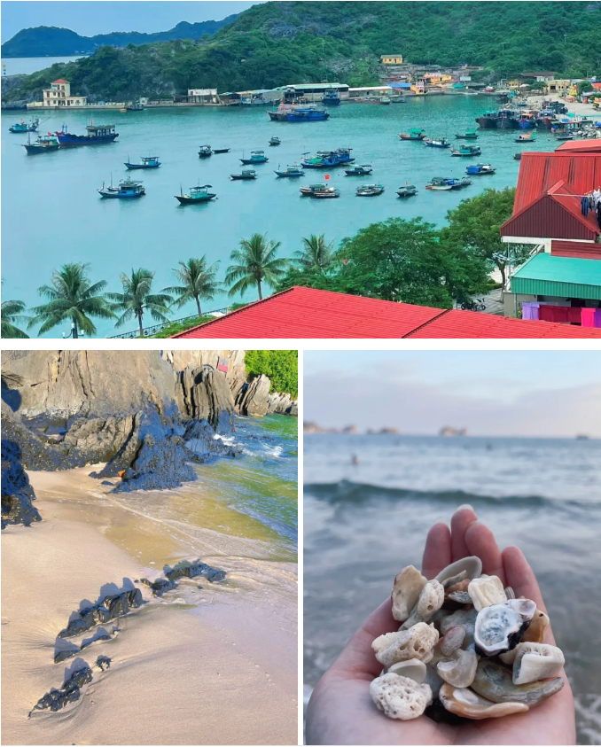 1767149674810553.png 6404ef9311b3fb18f1c01b261545f4f.png