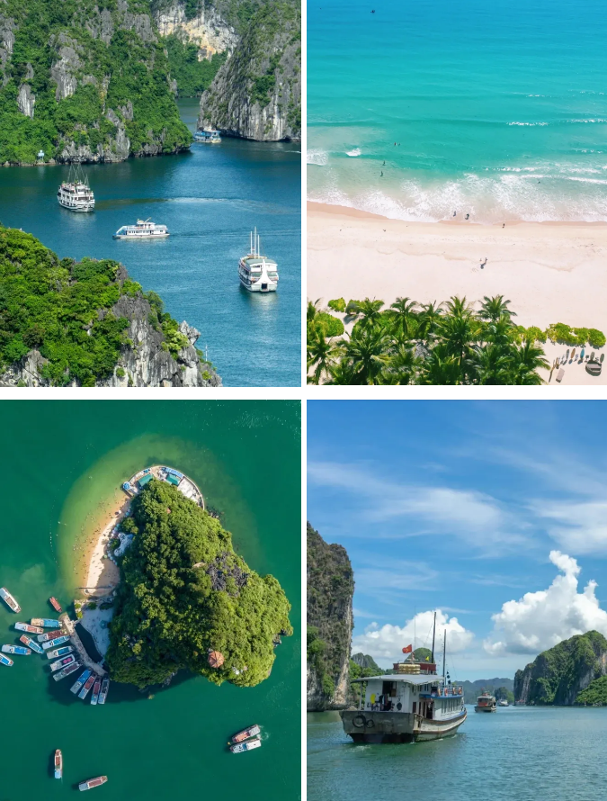 1767150069194602.png a53c3d71ce70dec46b3b312d4ac9715.png