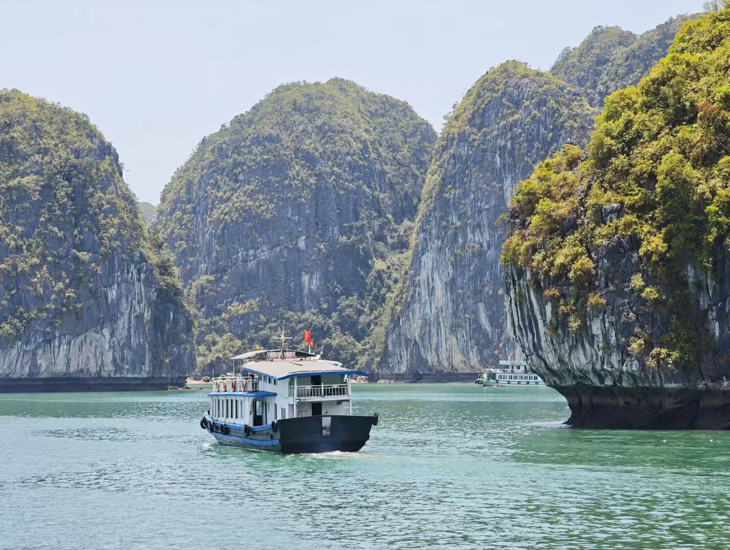 1767150866664506.jpg 853c06b4bfc7eea04c46004fc2f54dd.jpg