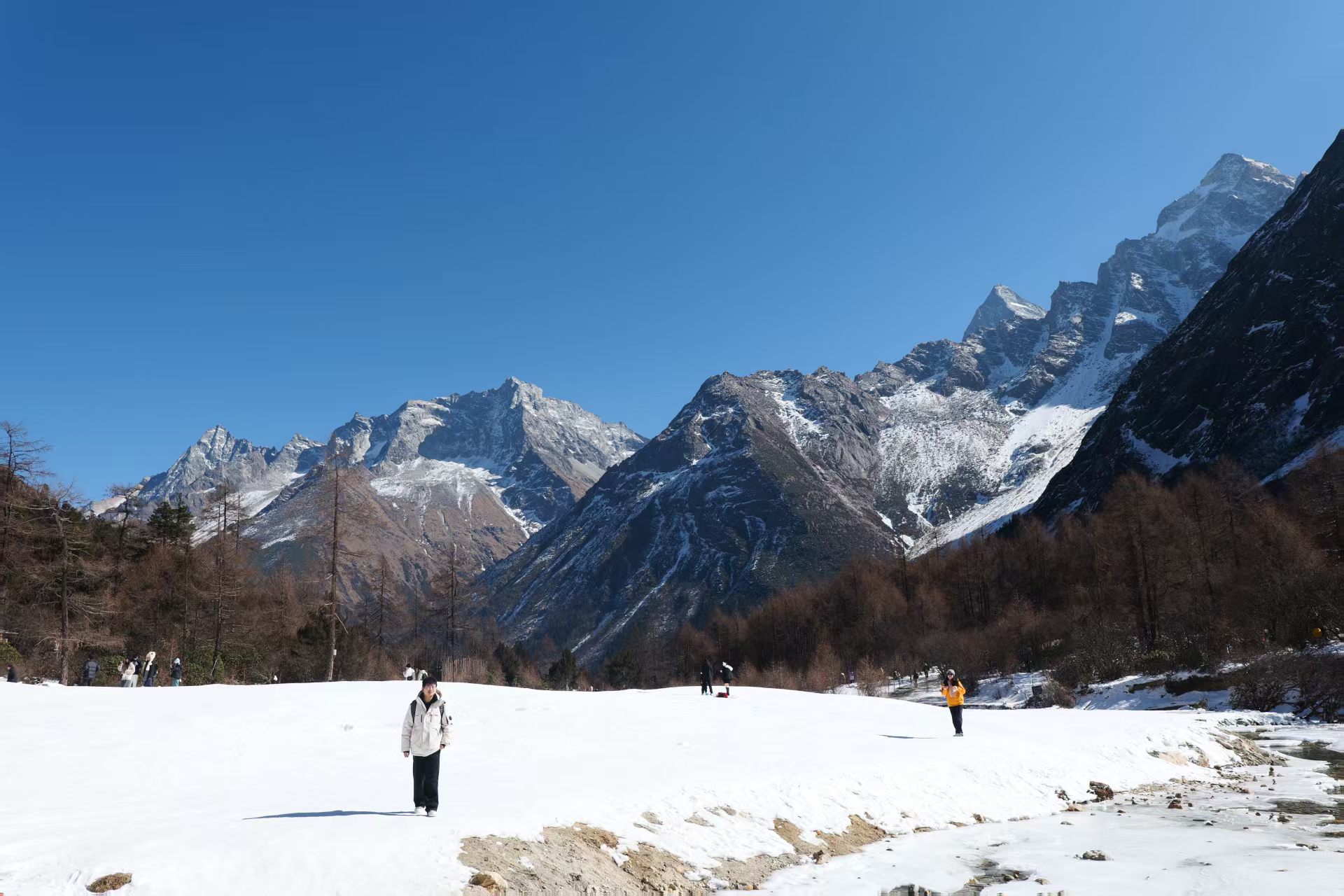 1768182992930628.jpg fdc6b1c472d4cf164d3e073caa5e1e5.jpg