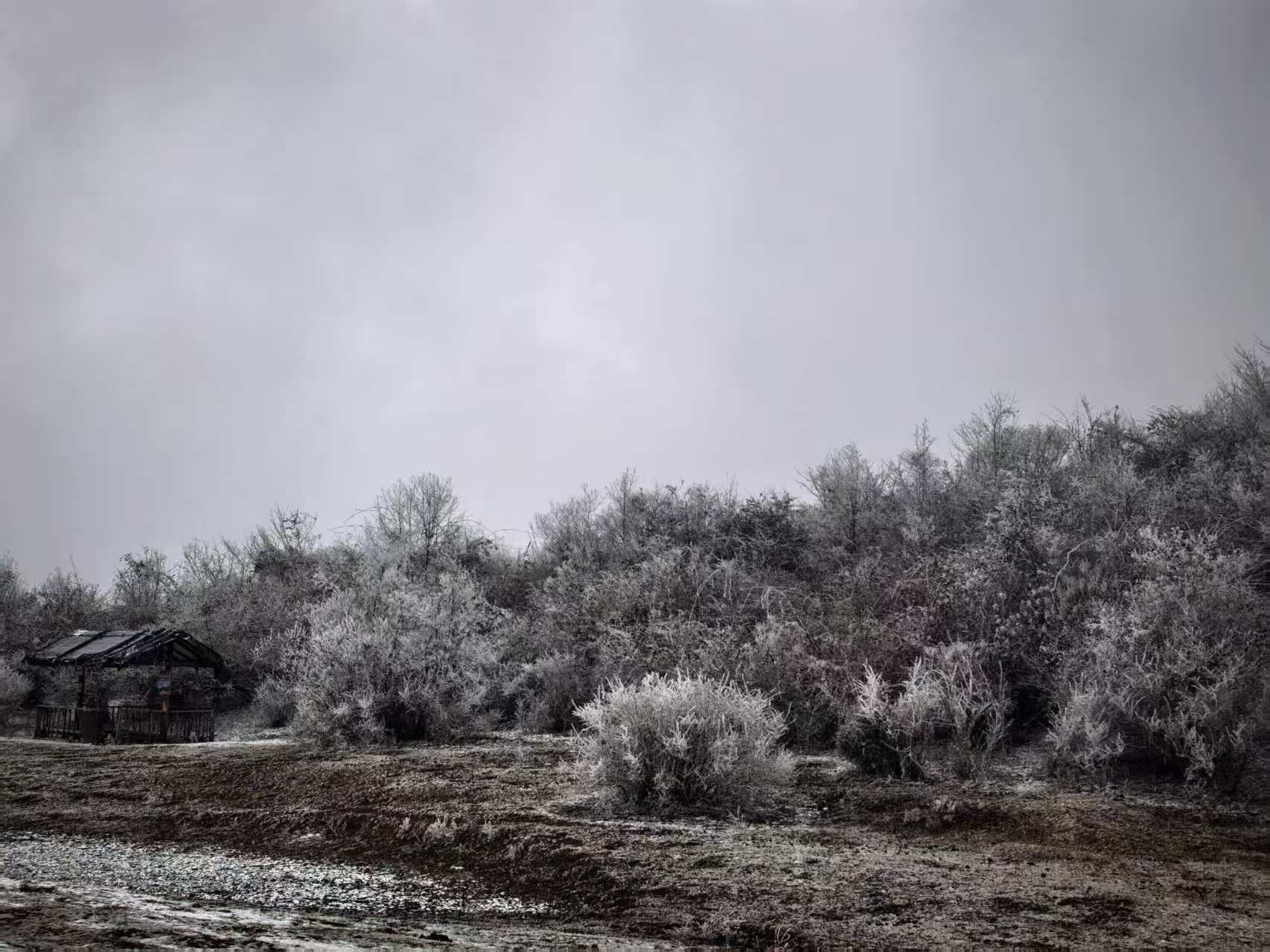 1769853618438626.jpg 微信图片_20260131175829.jpg