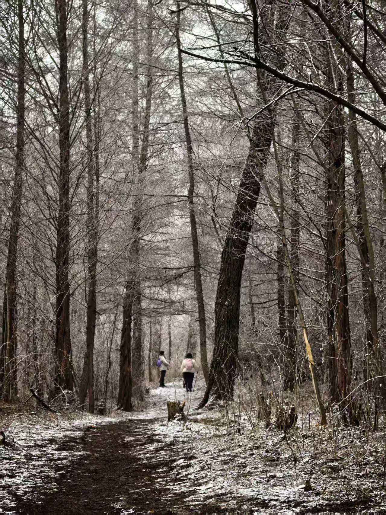 1769853621405126.jpg 微信图片_20260131175832.jpg