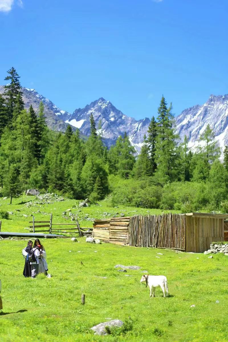 1773208639741752.jpg 0102a3a7d7e2658805288f1ab87063dc.jpg